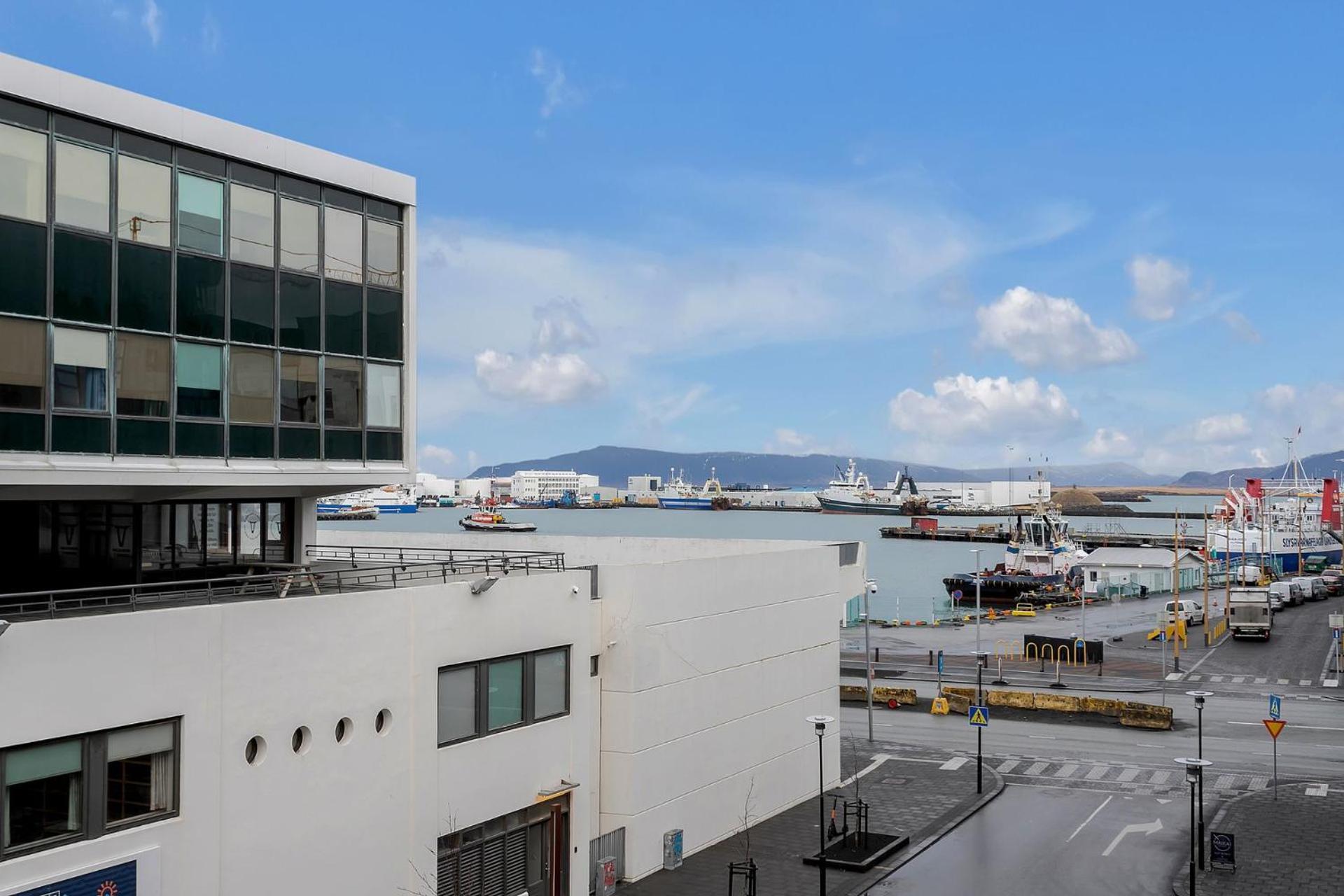 Vibrant Hafnatorg I Spacious Property With Expansive Garage 雷克雅維克 外观 照片